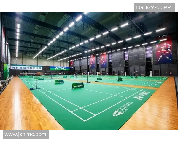 深圳羽毛球队转型升级之路探索与展望